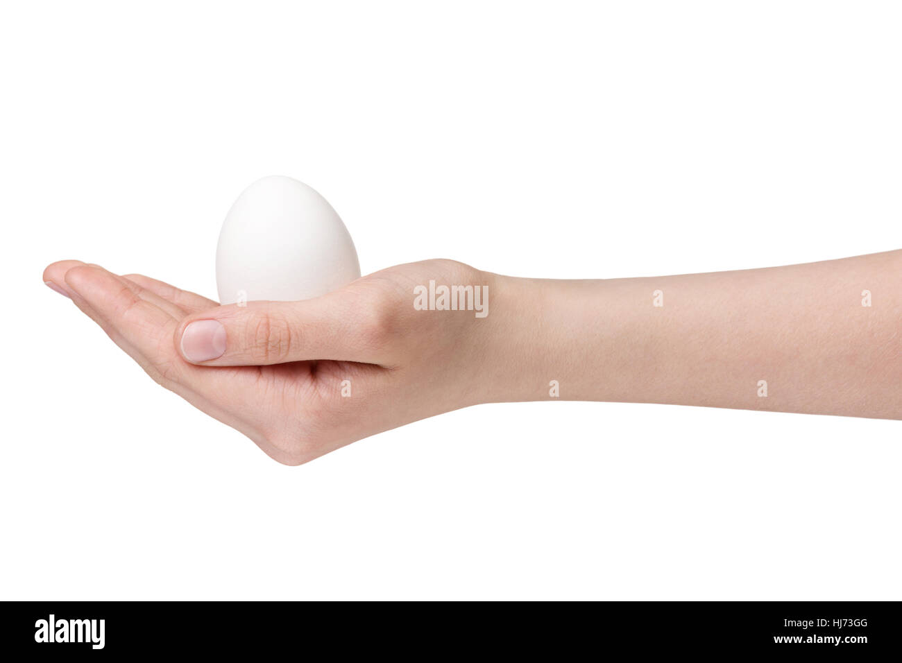 L'adolescence féminine hand holding white chicken egg isolated on white Banque D'Images