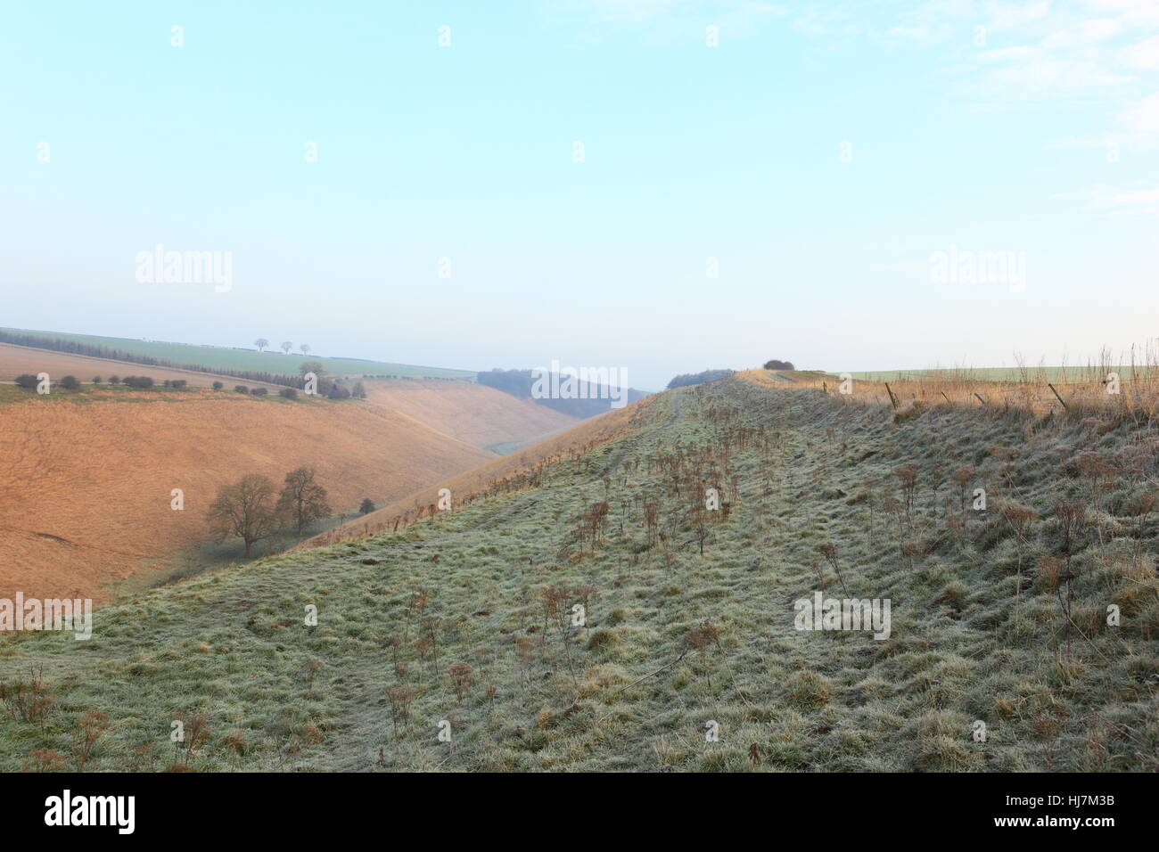 Paysage anglais en janvier avec l'herbe givrée vallées et forêts de la pittoresque English channel en hiver. Banque D'Images