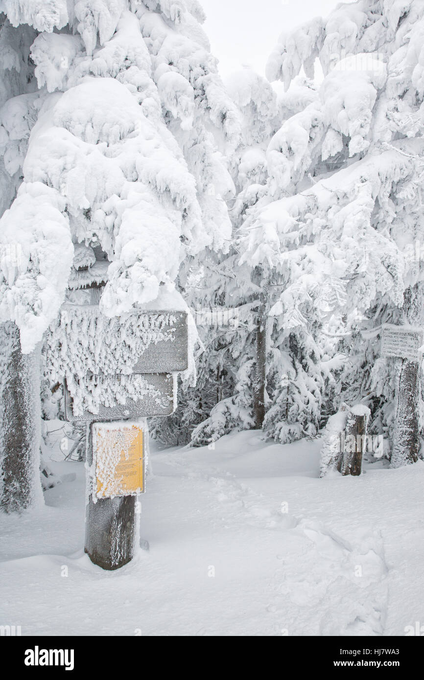 Kinsman Ridge Trail sur Cannon Mountain pendant les mois d'hiver dans les Montagnes Blanches (New Hampshire). Banque D'Images