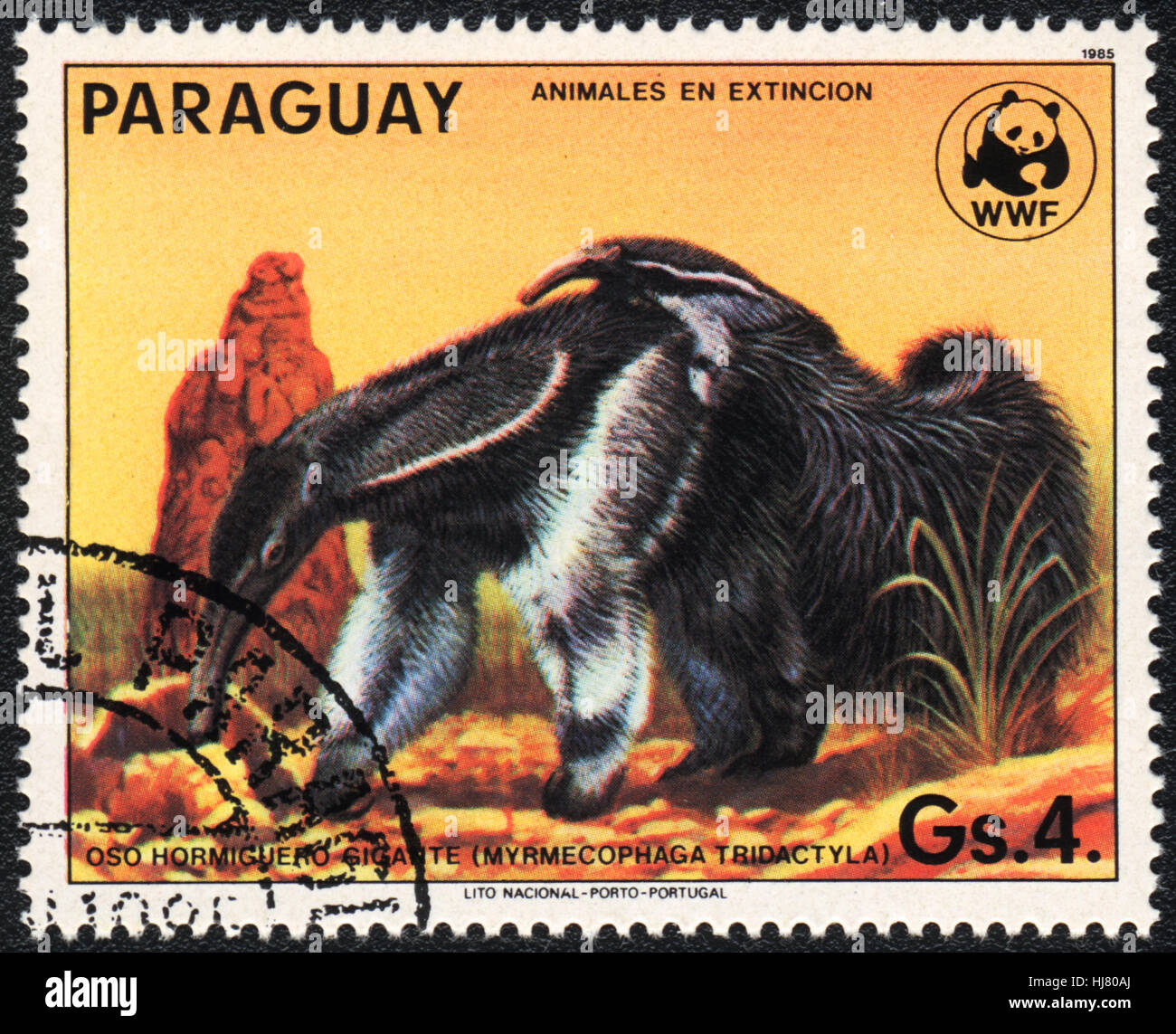 Un timbre-poste imprimé en Paraguay Myrmecophaga tridactyla montre un, 1985 Banque D'Images