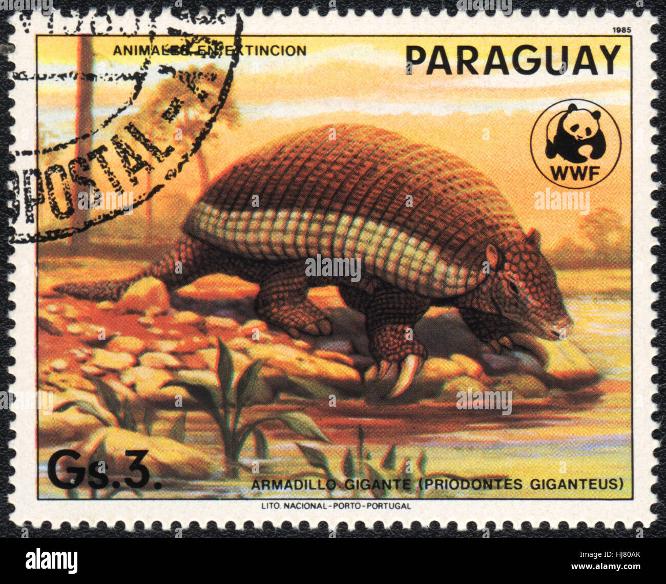 Un timbre-poste imprimé en Paraguay montre un tatou géant (Priodontes giganteus), série 1985 Banque D'Images