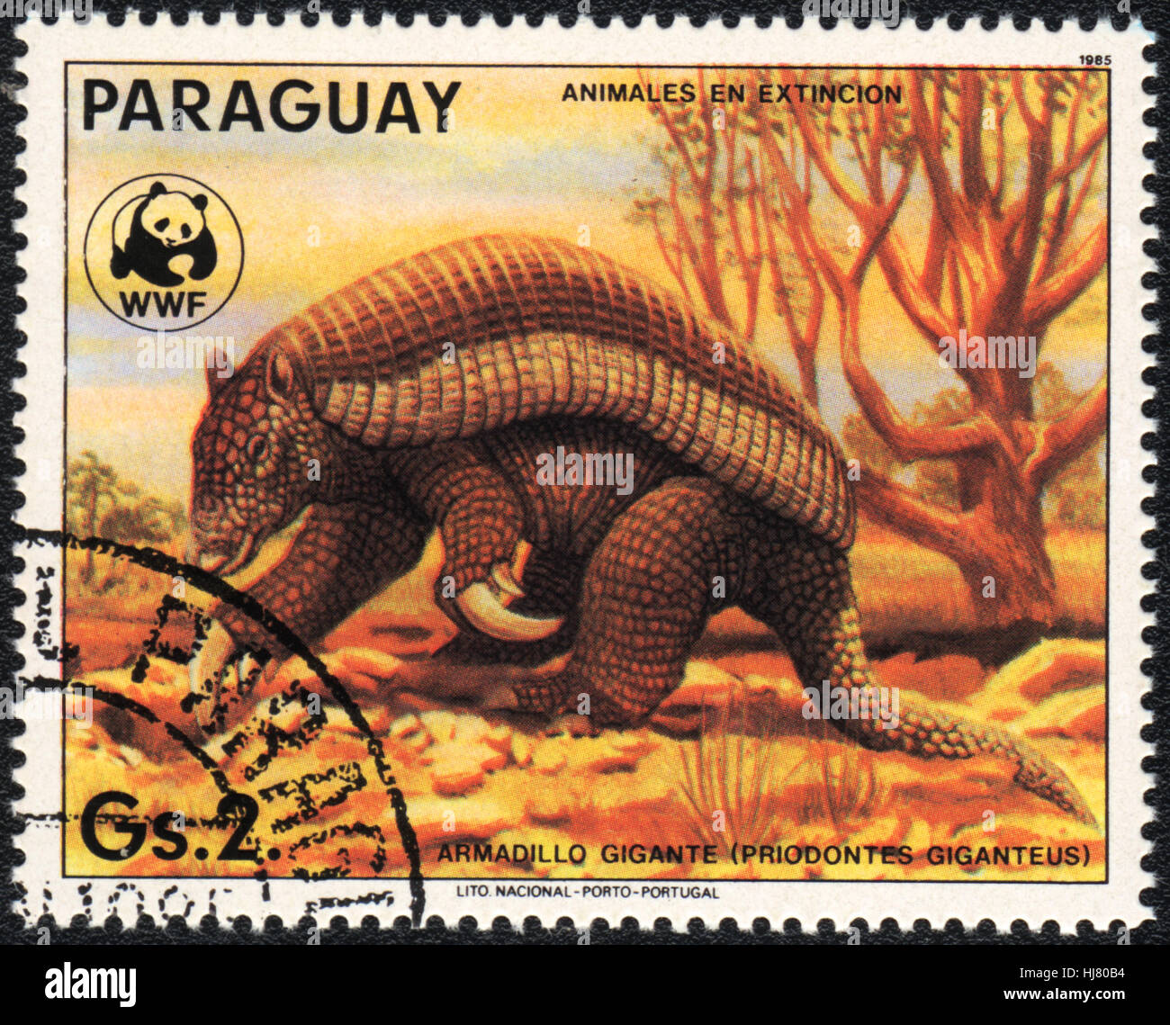 Un timbre-poste imprimé en Paraguay montre un Priodontes giganteus, 1985 Banque D'Images