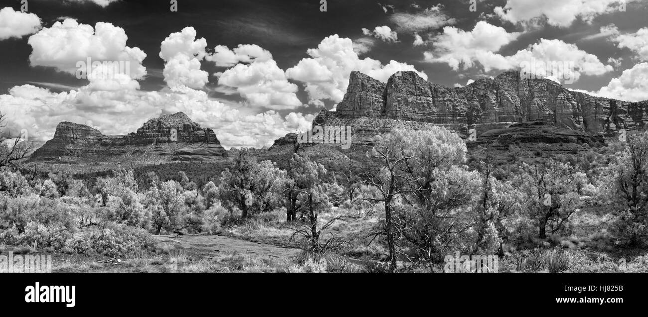 Red Rock State Park, Sedona, Arizona Banque D'Images