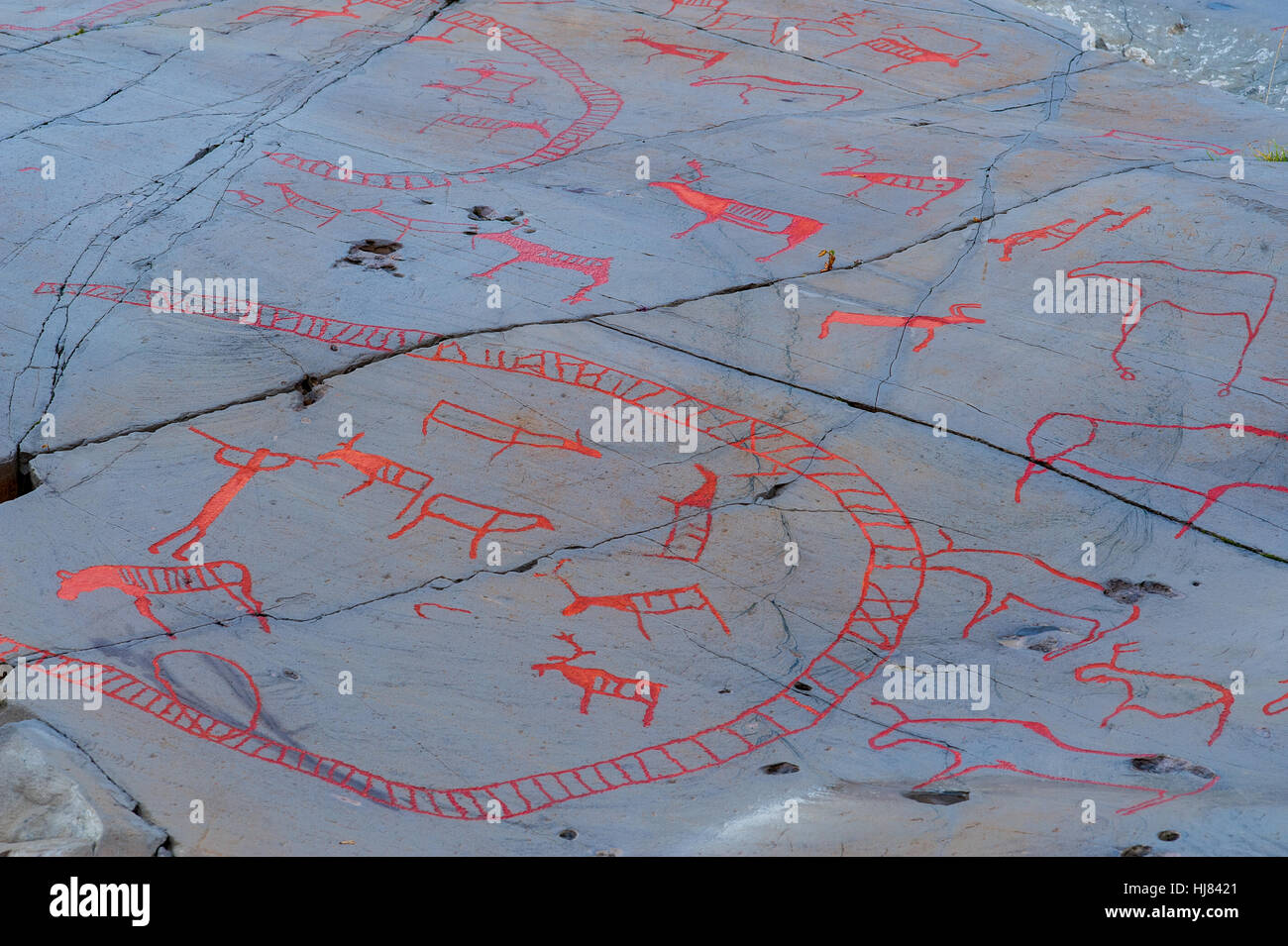 Des pictogrammes représentant des troupeaux de rennes sur une pierre plate gris. Une partie de l'Alta Rock Art, UNESCO World Heritage Site, Alta, Finnmark, Norvège. Banque D'Images