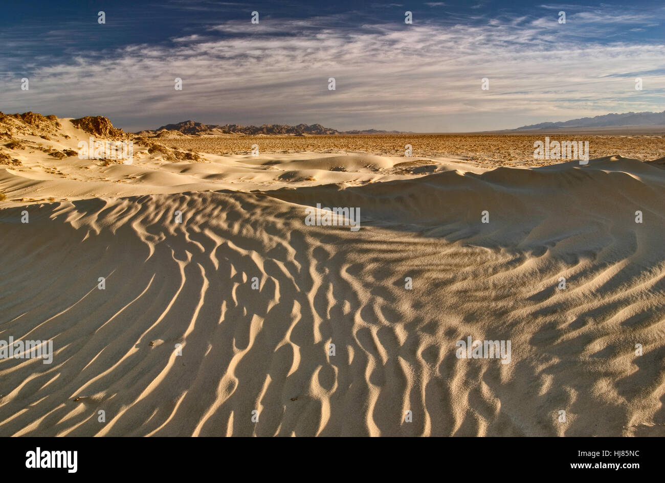 Cadix Dunes en sentiers Mojave National Monument, désert de Mojave, Californie, USA Banque D'Images