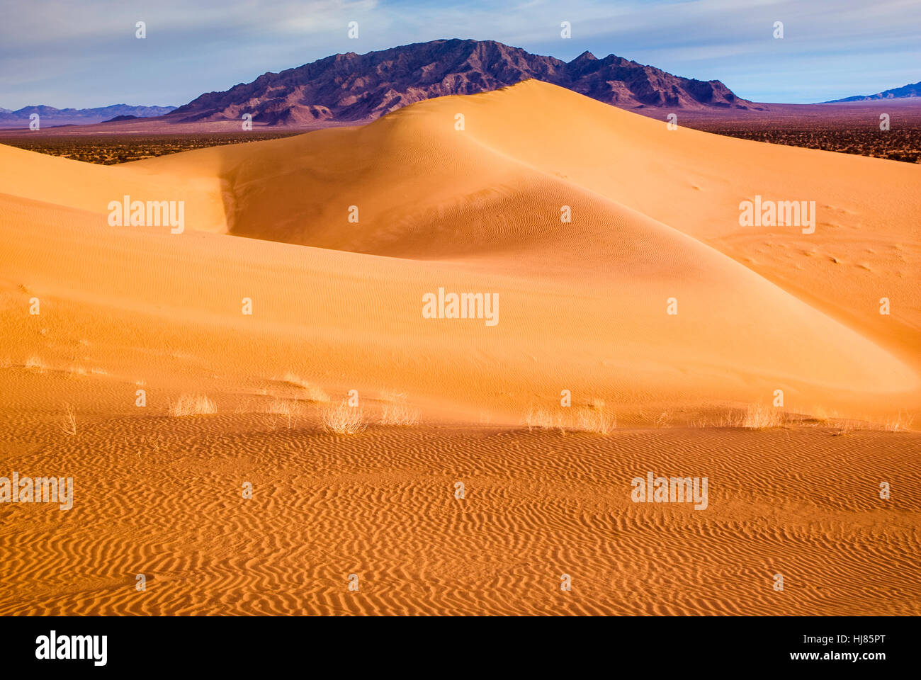 Cadix Dunes au lever du soleil, navire montagnes dans la distance à un désert de Mojave, sentiers de Mojave National Monument, California, USA Banque D'Images