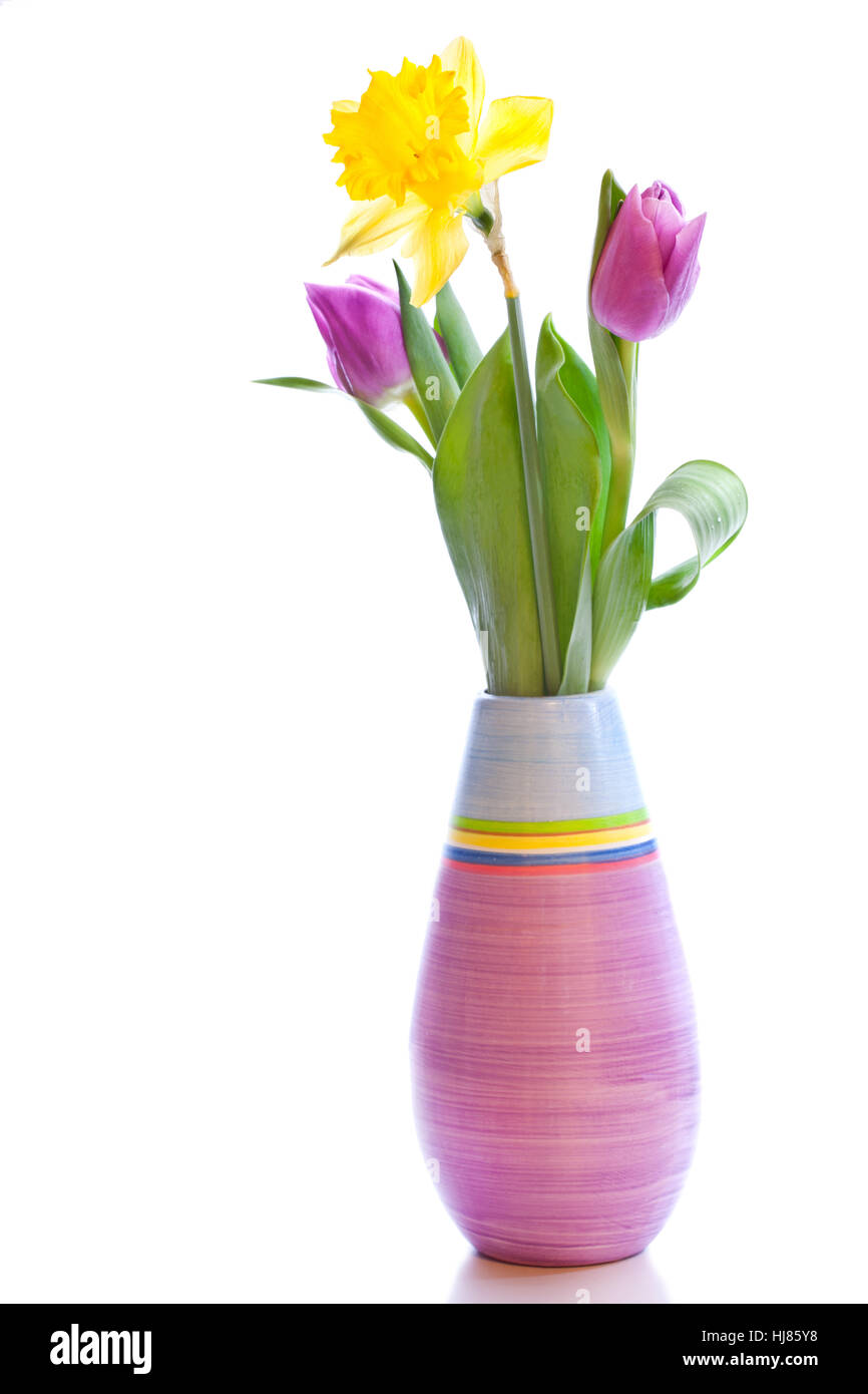 Un bouquet de tulipes deux et narcisse dans un vase isolé sur fond blanc Banque D'Images
