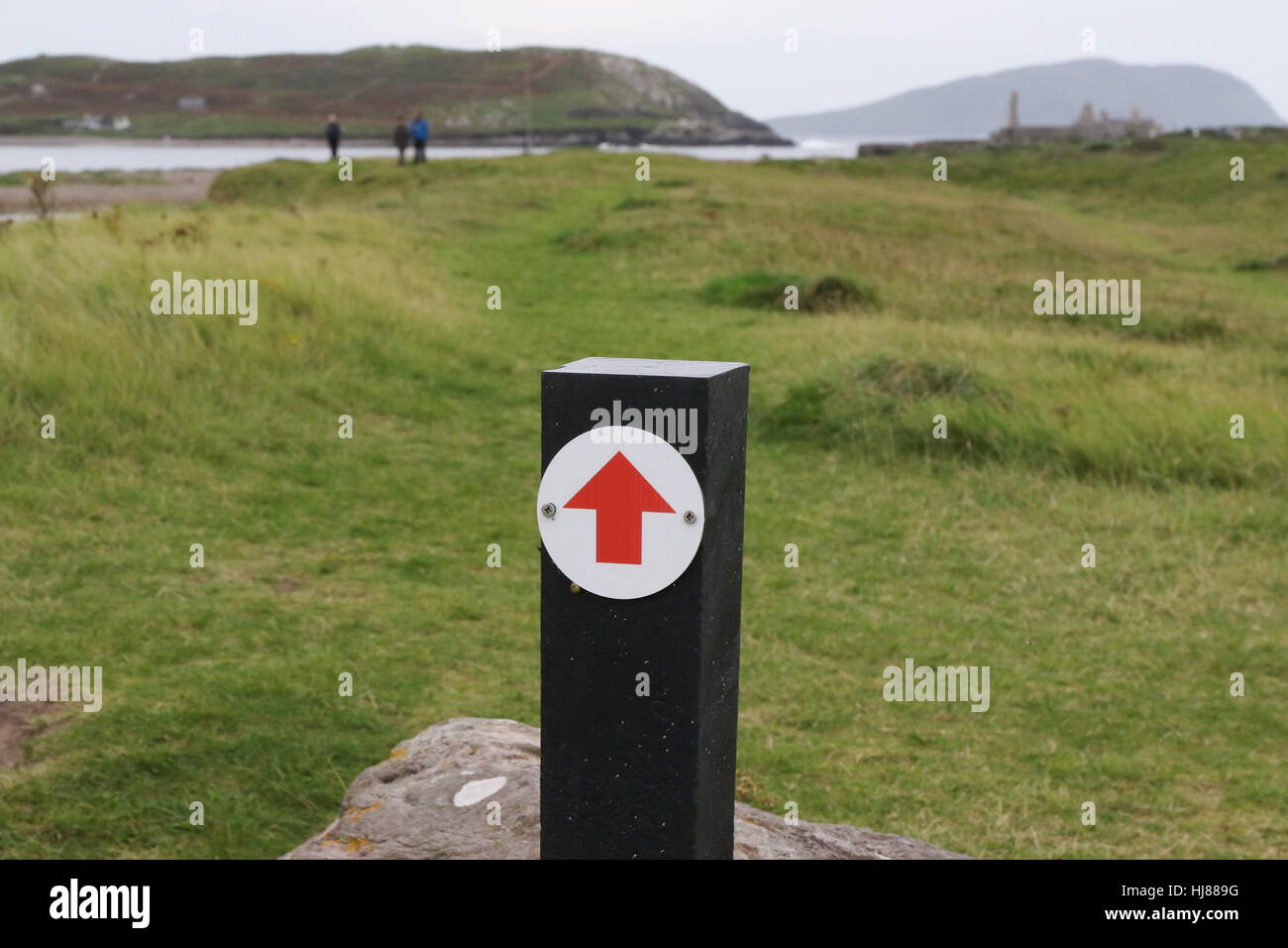 Repère de direction en bois pour la randonnée à vélo à Ballinskelligs Priory, Ballinskelligs, comté de Kerry, Irlande.Le Prieuré est à la droite de la photo. Banque D'Images