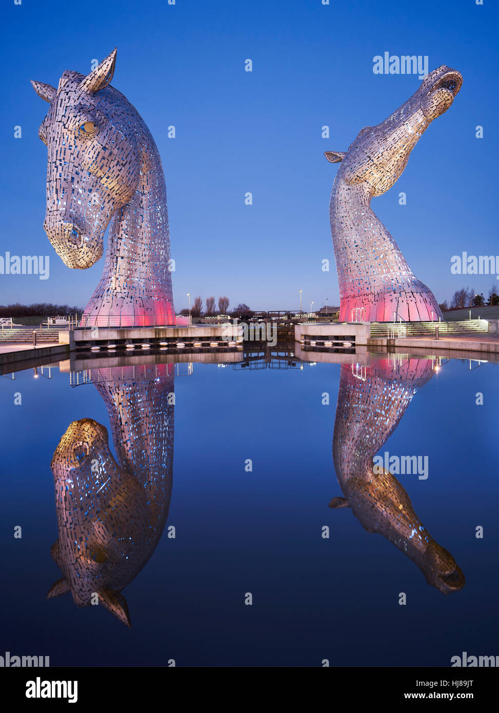Les Kelpies, Helix Park, Falkirk, Ecosse. Illuminée la nuit. Sculptures d'Andy Scott Banque D'Images