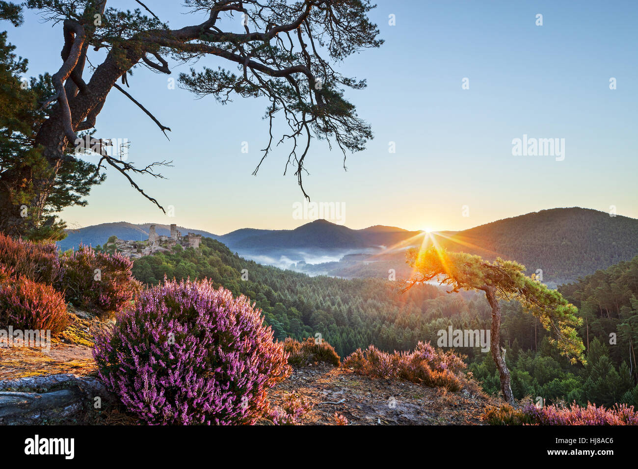 Vue depuis la montagne, Schützenwand, sunrise, Altdahn Château en retour, Dahn, Forêt du Palatinat, Rhénanie-Palatinat, Allemagne Banque D'Images