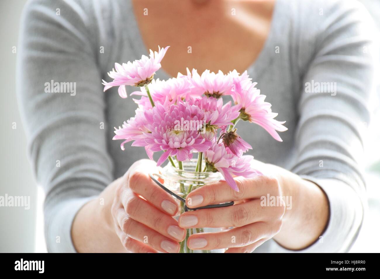 Femme tenant un vase avec des fleurs de chrysanthème rose Banque D'Images