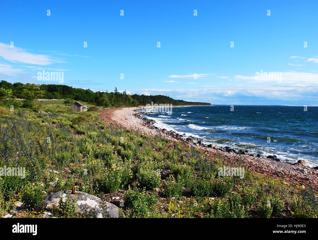 Bleu, horizon, pierre, mousse, bay, cabines, de l'eau, bleu, maison, édifice, Banque D'Images