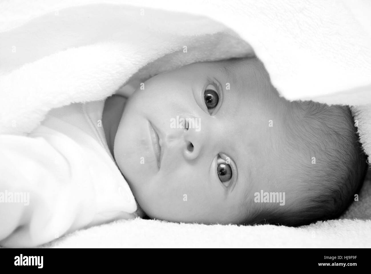 Belle, beauteously, de Nice, de la vie, existent, existence, vie, vie, vivre, Banque D'Images