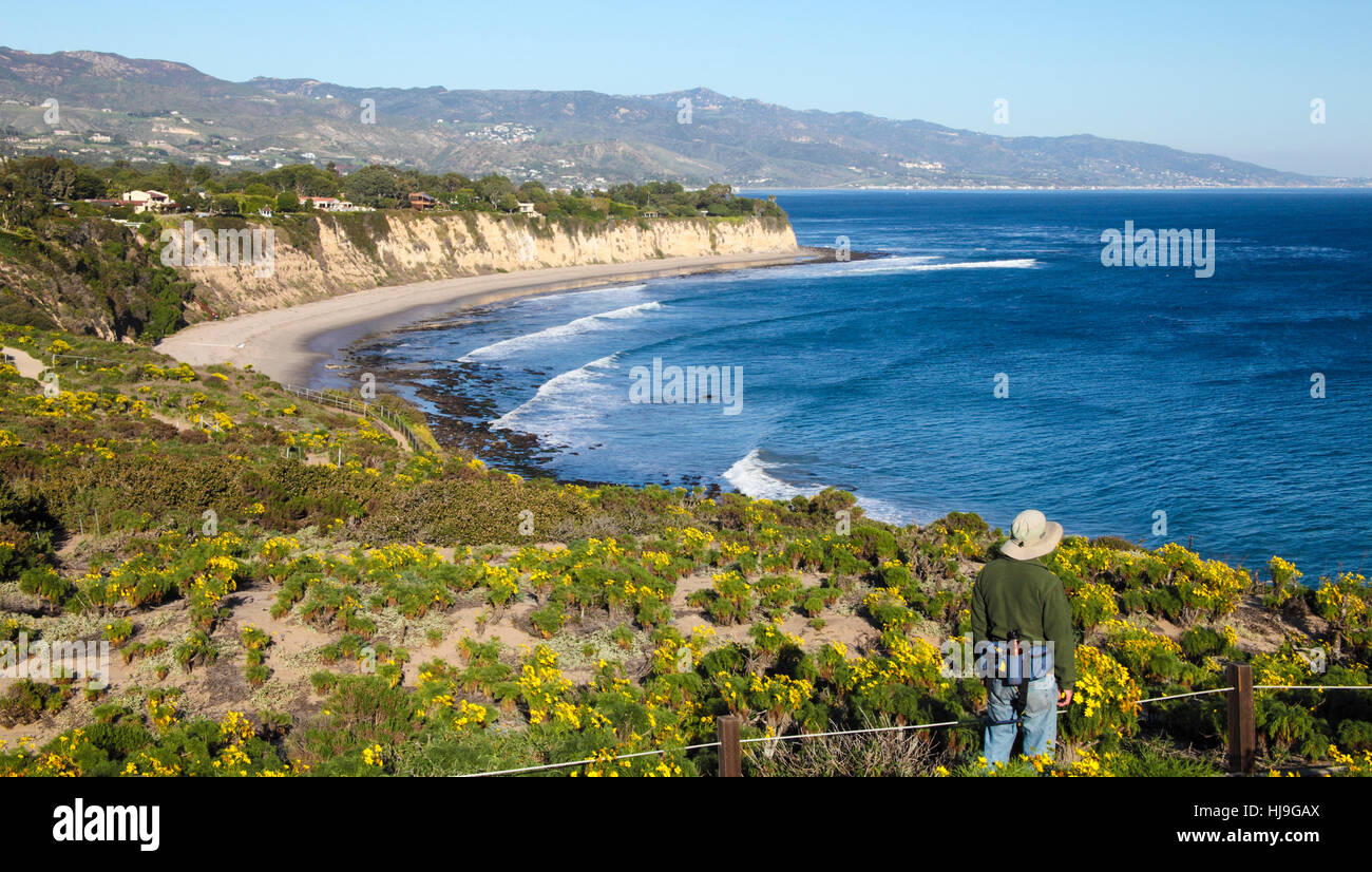 Promenades par randonneur à Point Dume fleurs sauvages Préserver l'État Banque D'Images