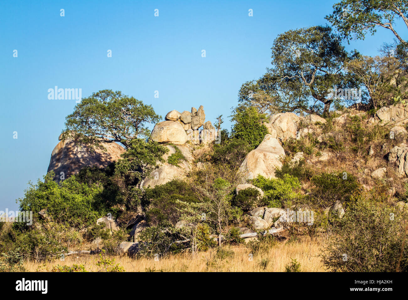 Paysage de rochers dans le parc national Kruger, Afrique du Sud Banque D'Images