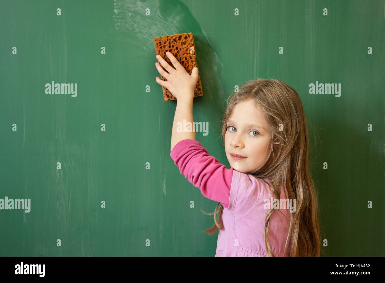 Conseil, l'éducation, apprendre, année de l'école, d'une éponge, de l'école, de l'éducation Banque D'Images