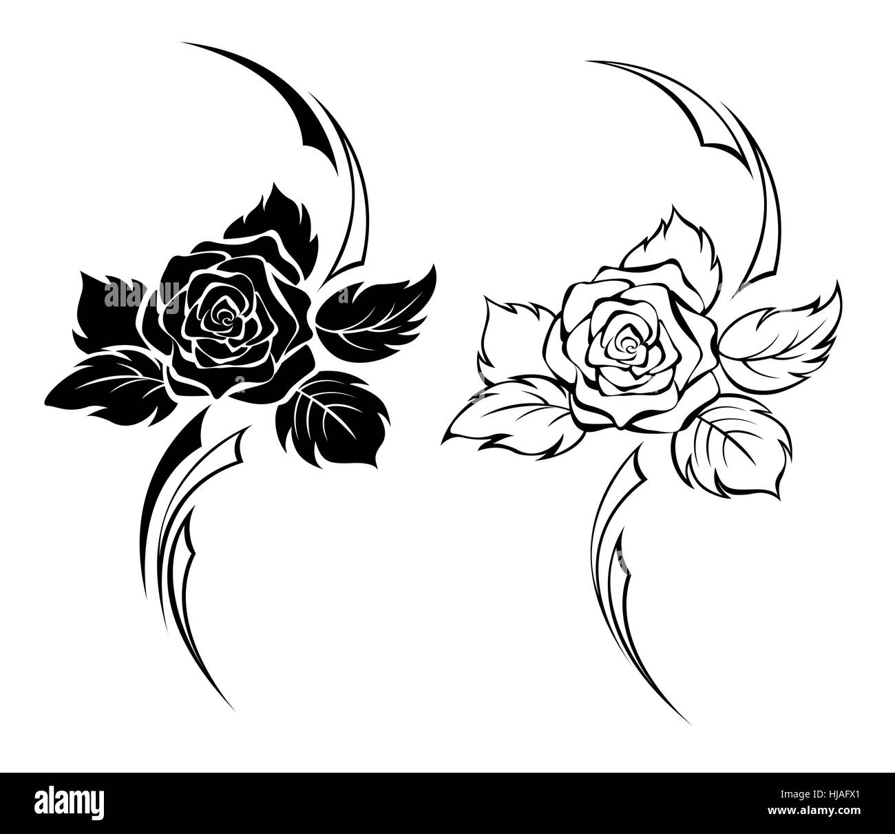 Deux rose monochrome Illustration de Vecteur