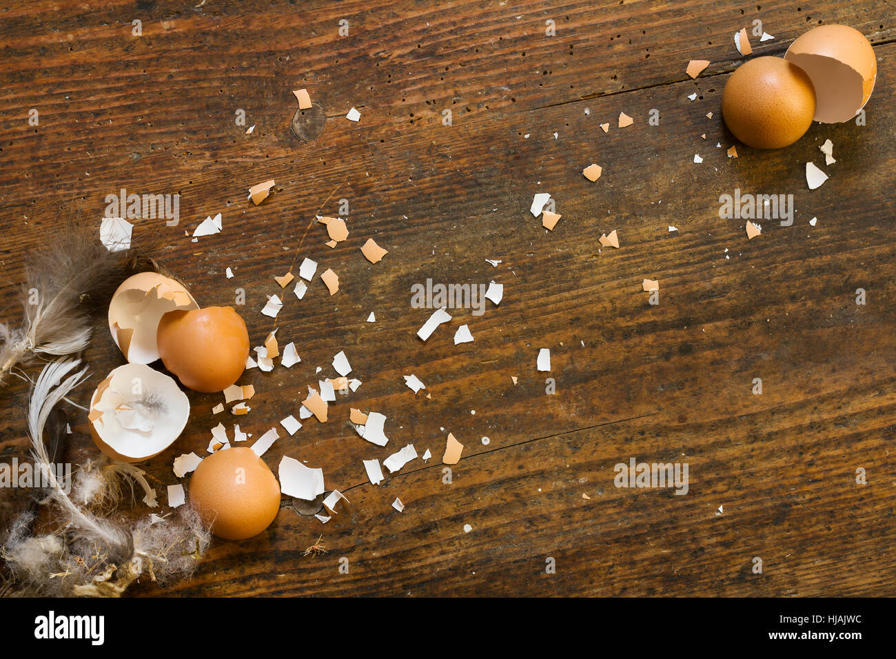 Plusieurs oeufs de poulet et des morceaux de coquille et plumes sur une planche en bois rustique - image de fond Banque D'Images