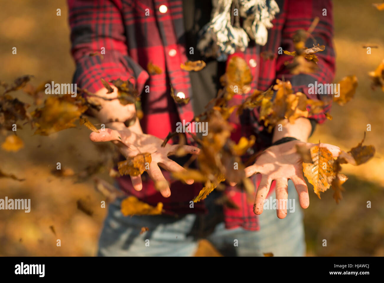 Jeune homme de jeter les feuilles d'automne dans l'air, mid section Banque D'Images