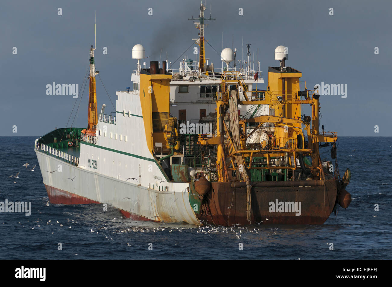 La coque du navire usine "Cornelis Vrolijk" la pêche du maquereau dans Saint Magnus Bay sur la côte ouest de l'archipel des Shetland. Octobre 2012. Banque D'Images