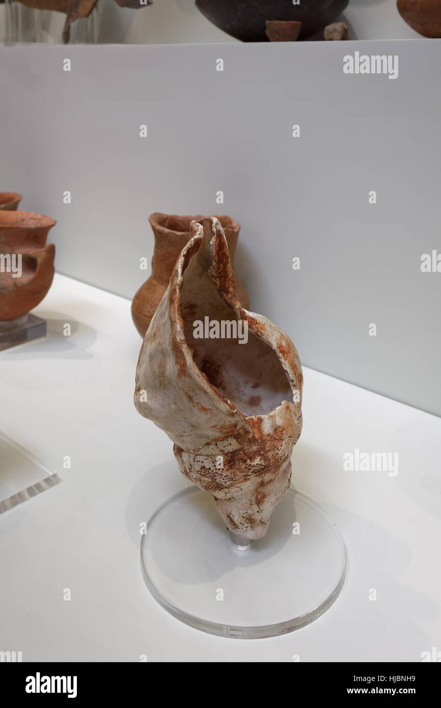 La forme de la coquille de la mer, de la poterie dans la culture Minoenne Musée Archéologique d'Héraklion, Crète, Grèce Banque D'Images