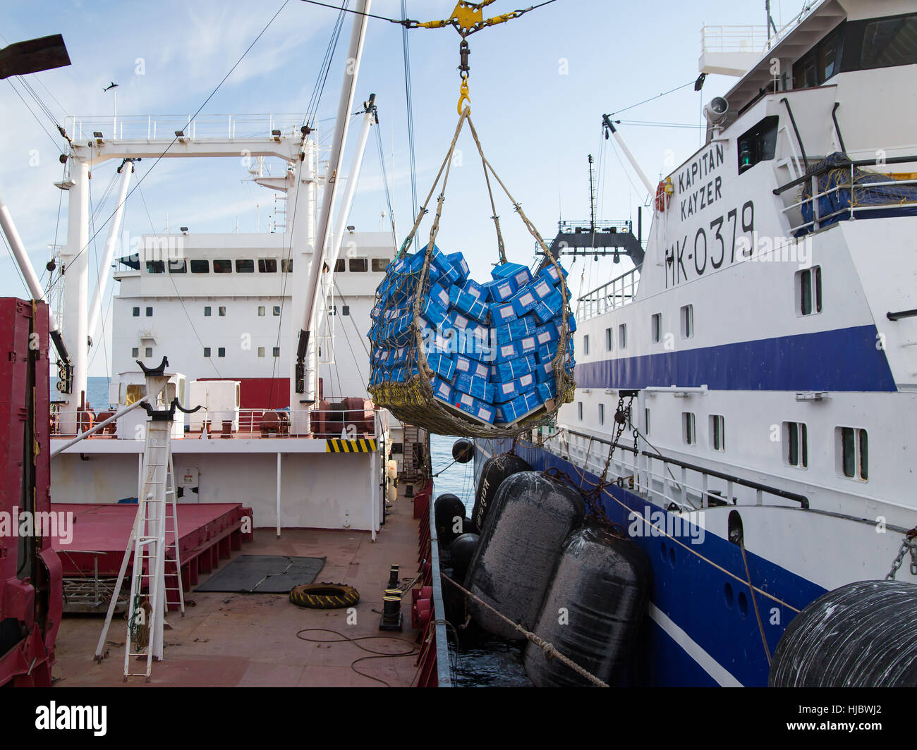 Surcharge de produits de la mer surgelés. Banque D'Images