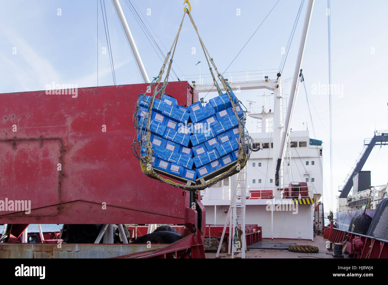 Surcharge de produits de la mer surgelés. Banque D'Images