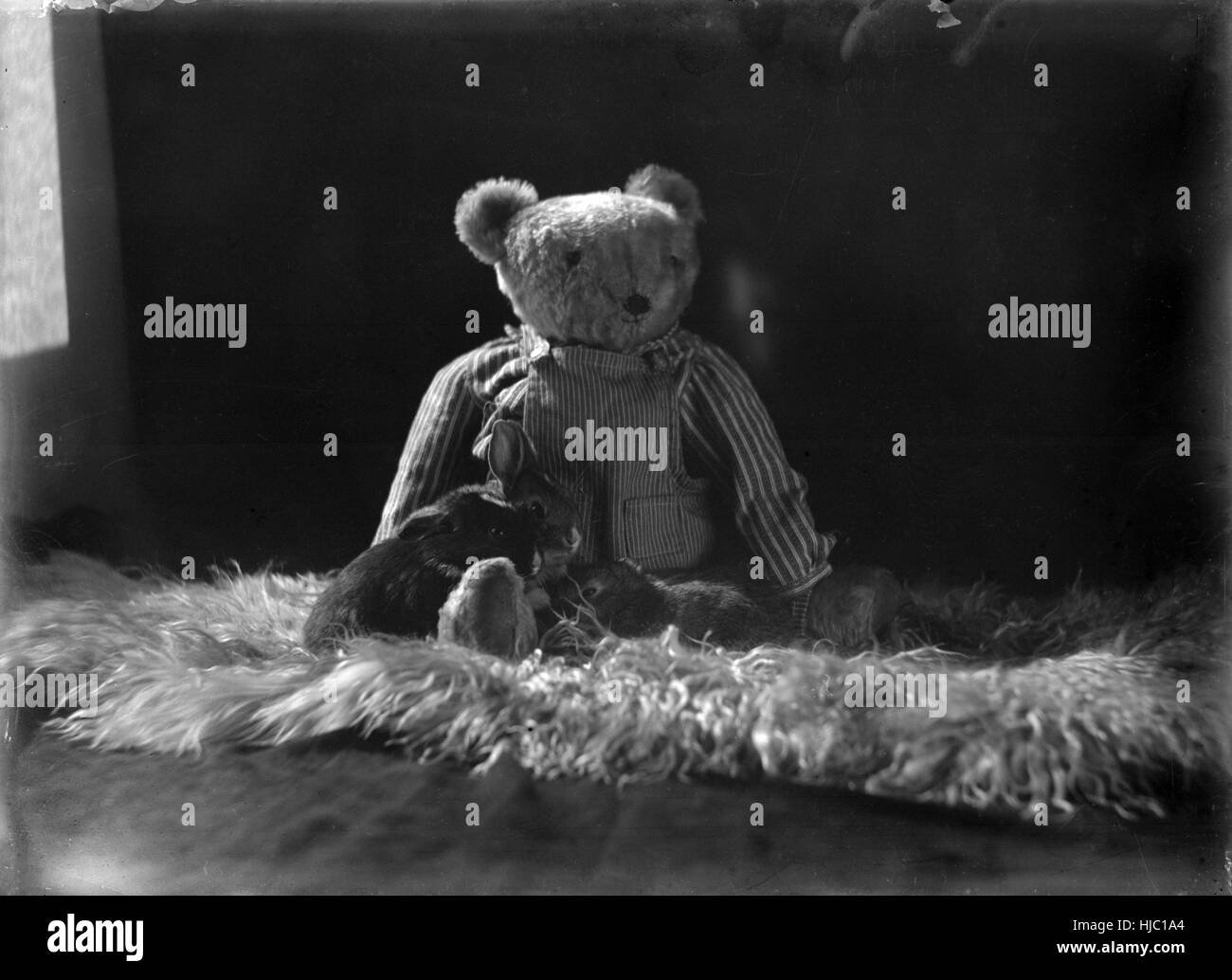 Ancien Ours En Peluche Parleur - Teddy Bear Vintage, Bon état, Occasion