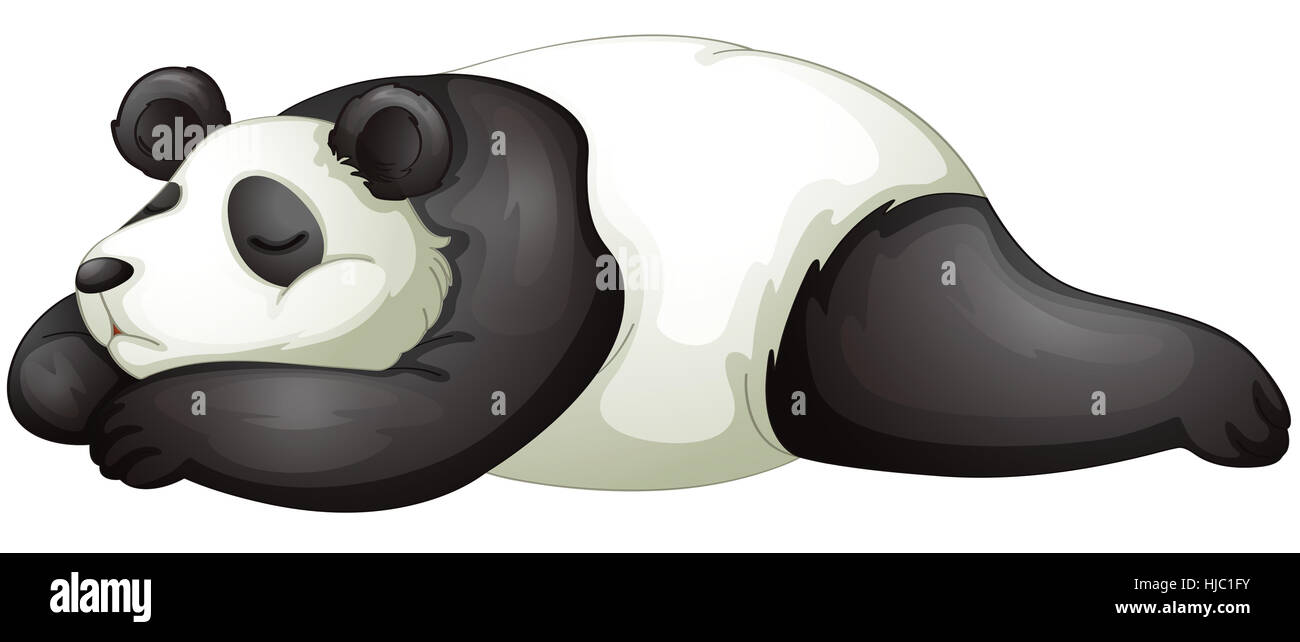 Objet, seul, protégé, à l'abri, isolé, graphique, animal, mammifère, ours, Banque D'Images