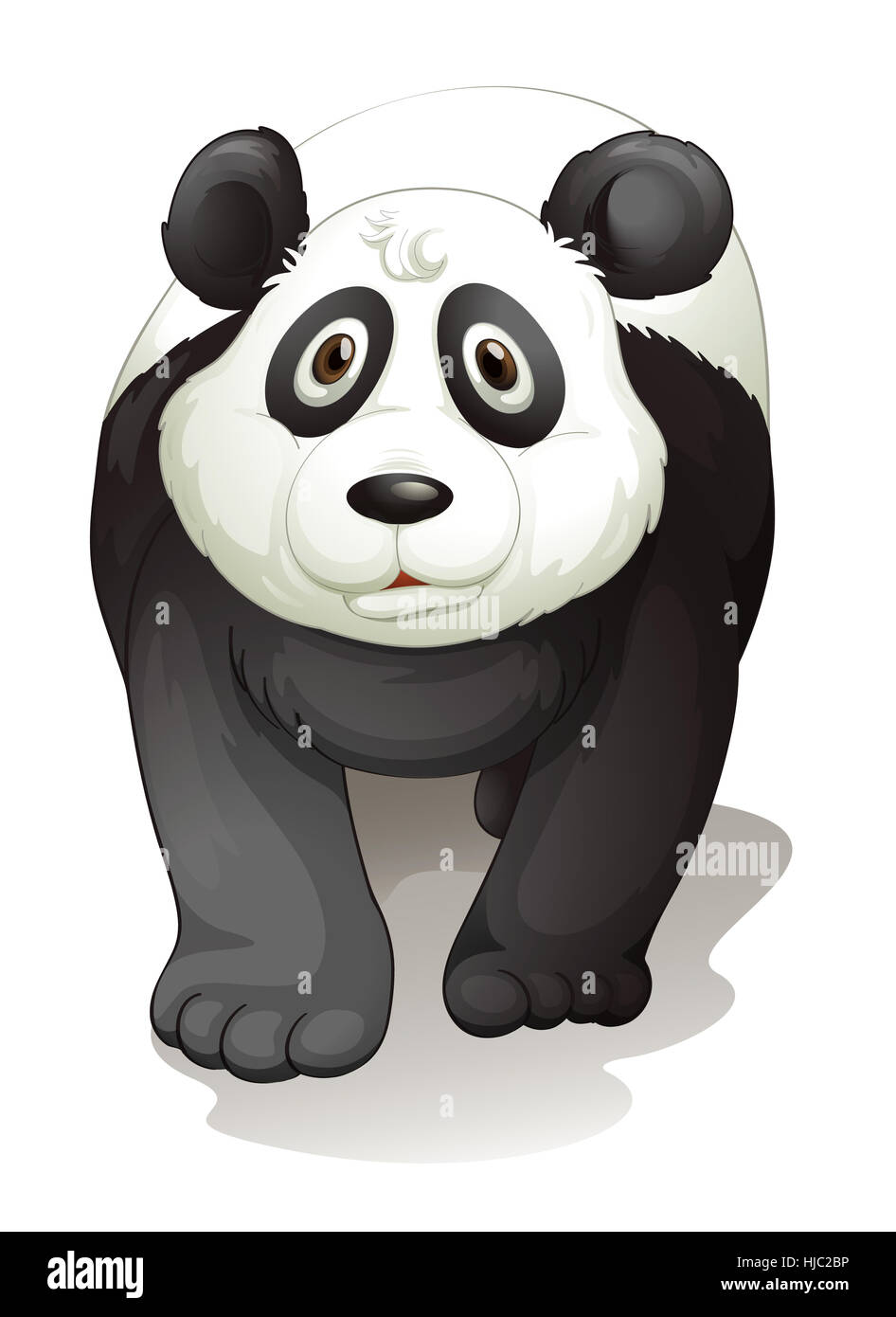 Objet, seul, protégé, à l'abri, isolé, graphique, animal, mammifère, ours, Banque D'Images