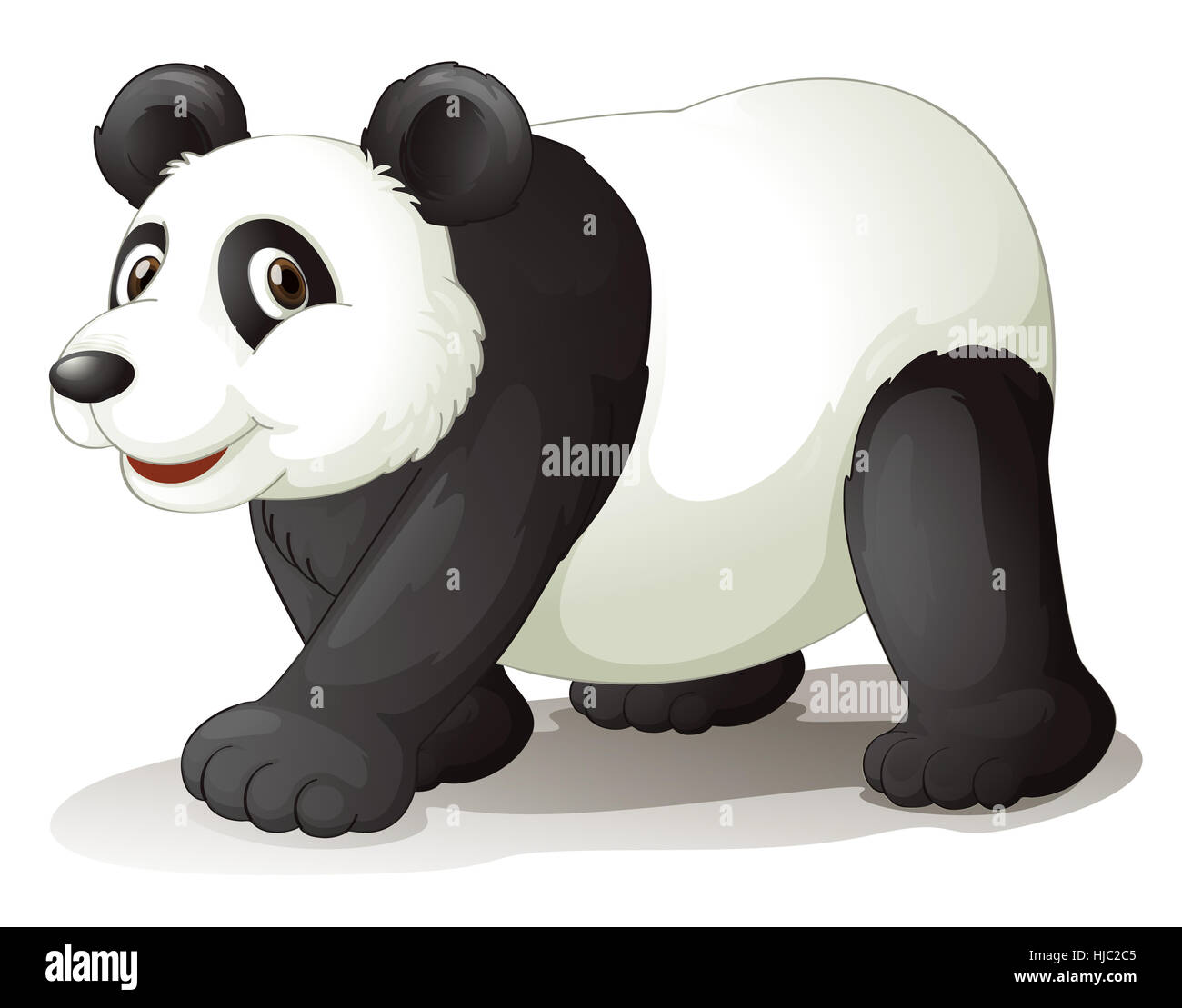 Objet, seul, protégé, à l'abri, isolé, graphique, animal, mammifère, ours, Banque D'Images