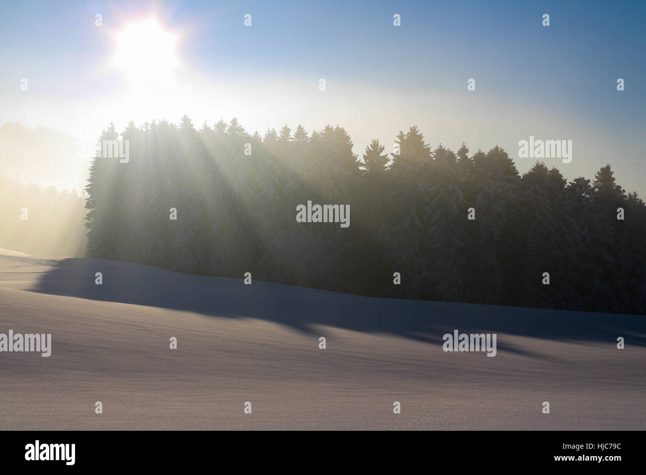 L'Autriche, du paysage en hiver, neige, ciel bleu, Banque D'Images