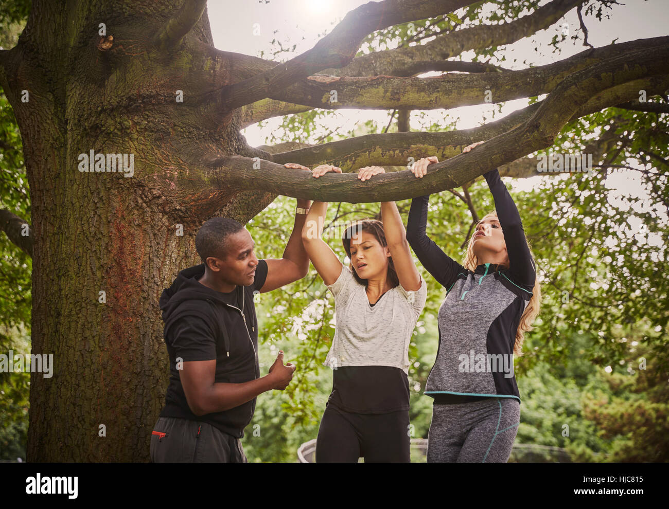 Entraîneur personnel demandant à deux femmes sur l'aide de branche d'arbre du parc Banque D'Images