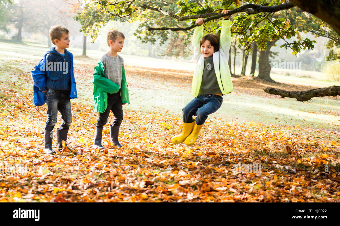 Trois garçons dans le parc, à l'automne, un garçon ça balance on tree Banque D'Images
