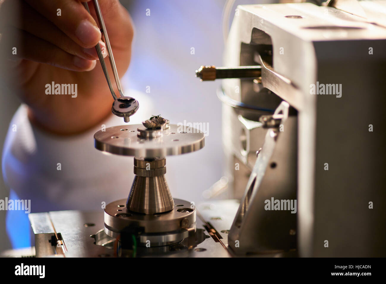 Les scientifiques de l'objet placé sur le matériel scientifique à l'aide de pincettes Banque D'Images