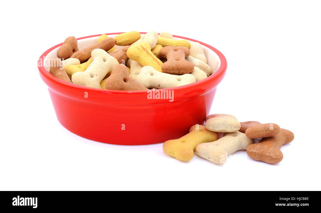En forme d'os secs aliments pour chiens en rouge, un bol renversé quelques biscuits à côté, isolé sur fond blanc Banque D'Images