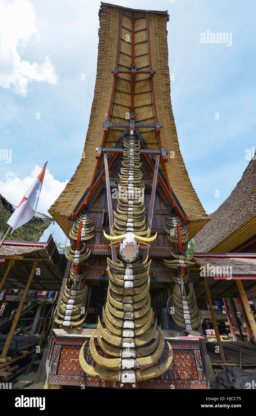 Tongkonan maisons traditionnelles dans la région de Tana Toraja, Sulawesi, Indonésie Banque D'Images