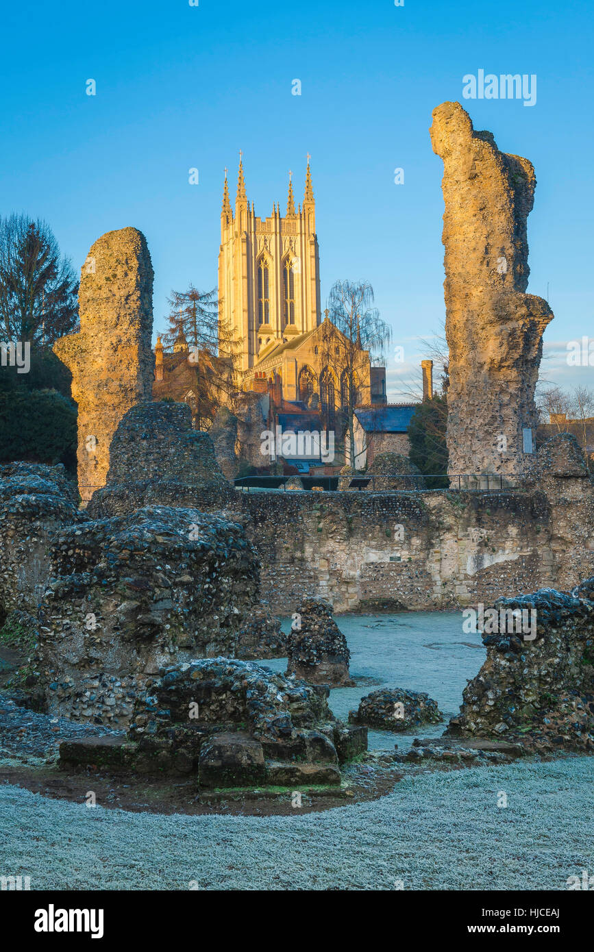 Abbaye de Bury St Edmunds, les ruines de l'abbaye médiévale de maçonnerie dans les jardins de l'abbaye de Bury St Edmunds avec cathédrale St Edmundsbury en arrière-plan. Banque D'Images