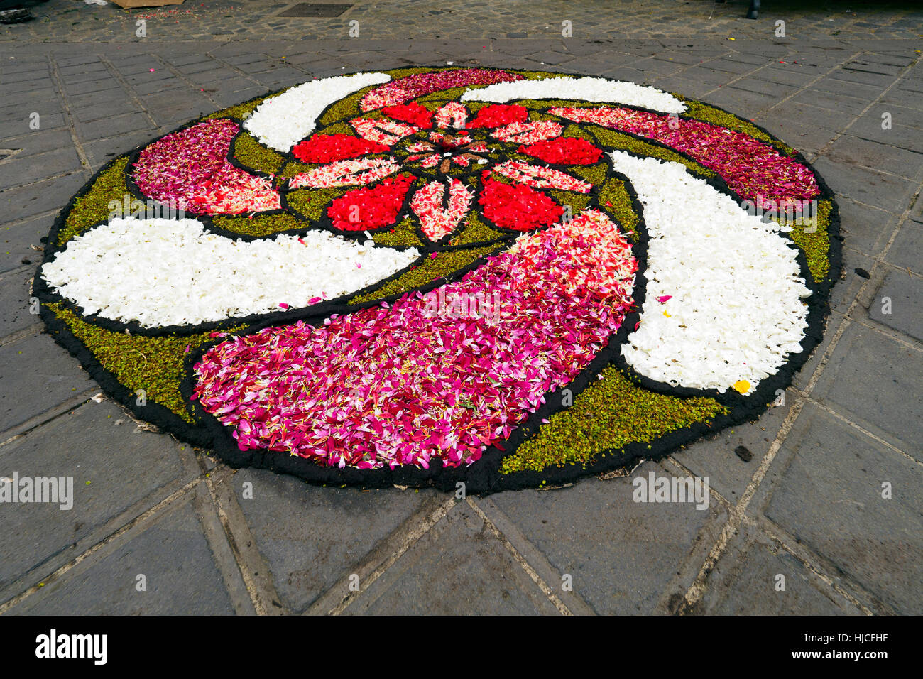 Une rue de la vieille ville de Bolsena lors du traditionnel tapis floral qui est fait chaque année pour le Corpus Christi - Bolsena, Italie Banque D'Images