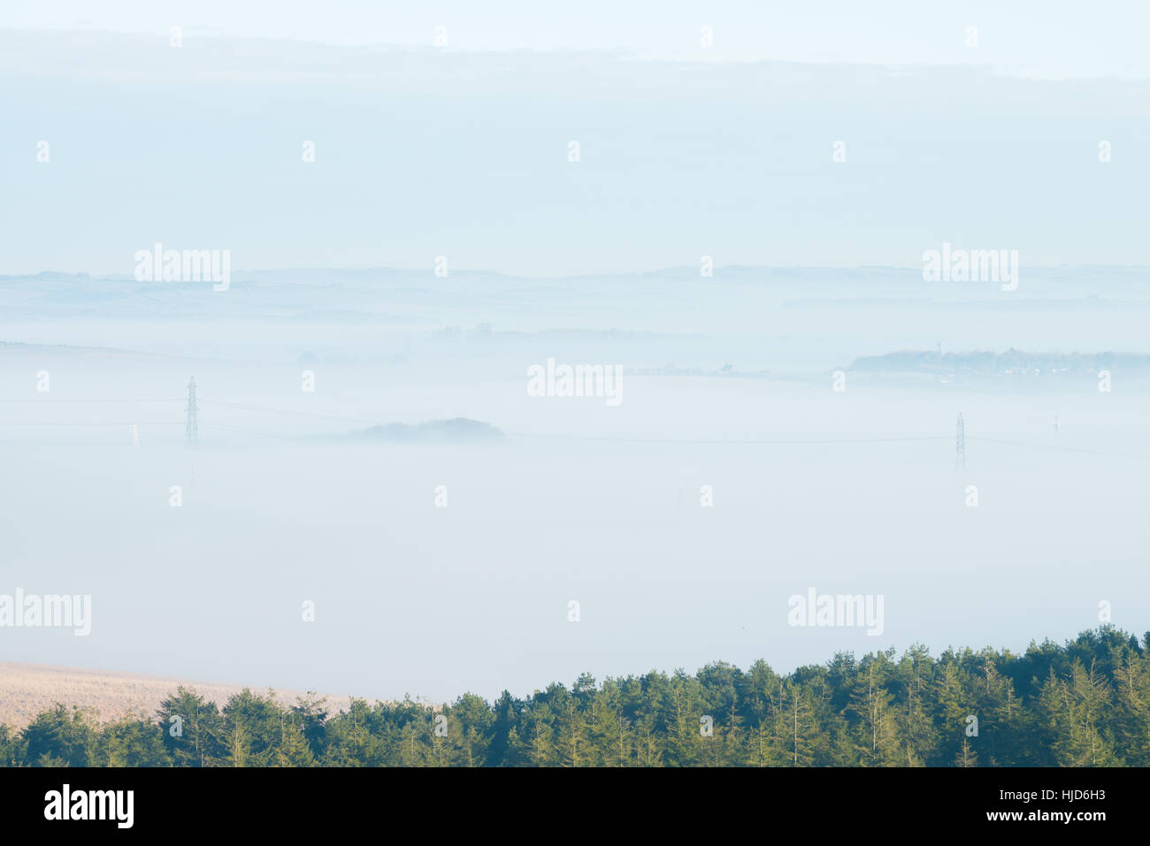 Matin brumeux au Monument à Hardy, près de Dorchester, Dorset, UK. 23 janvier 2017. Un misty de commencer la journée dans le Dorset avec pylônes dans la brume. © Dan Tucker/Alamy Live News Banque D'Images