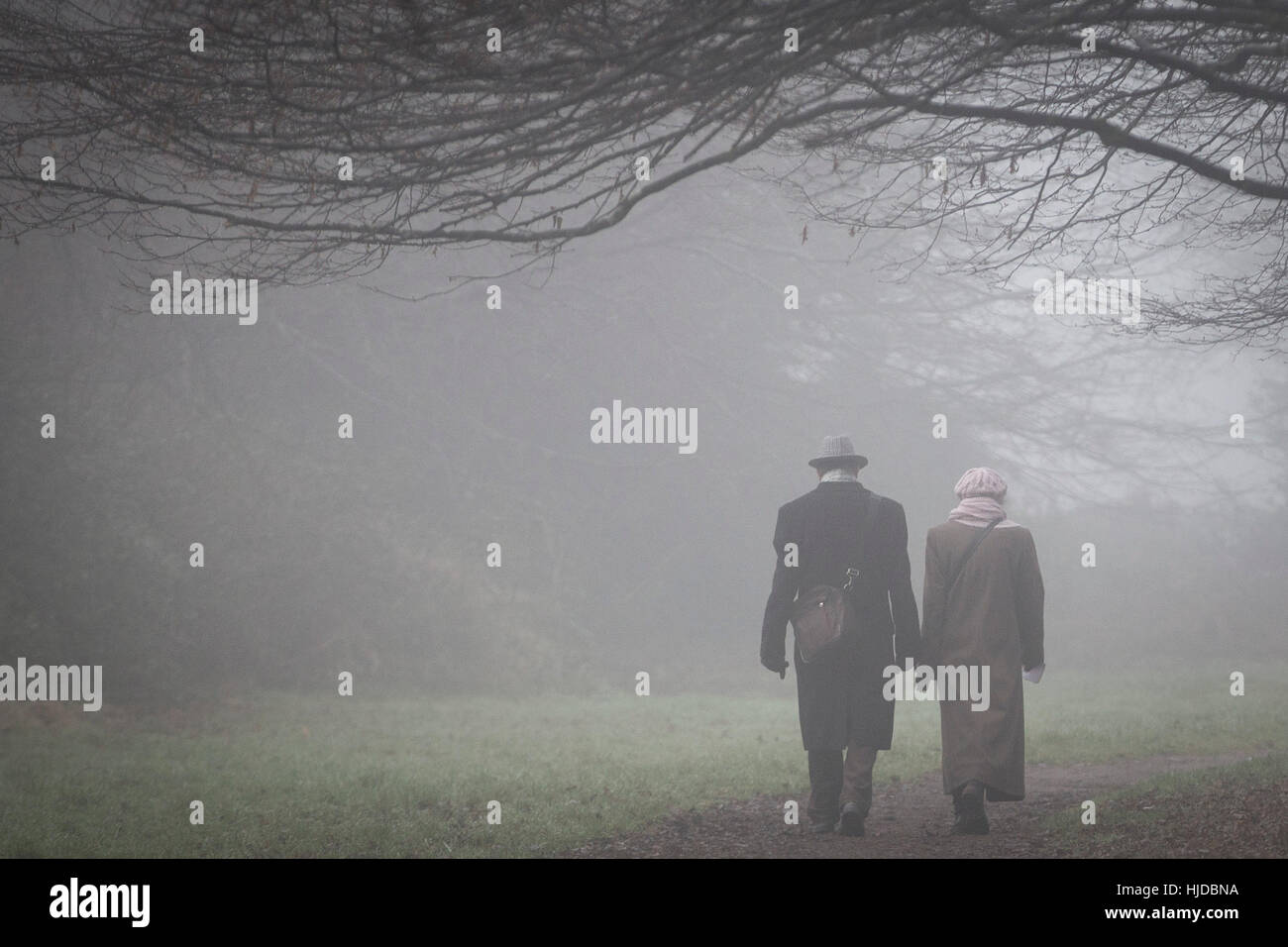Cardiff, Wales, UK. 24 Jan, 2017. Les marcheurs courageux du brouillard givrant dans un parc de banlieue. Photo par : Mark Hawkins/Alamy Live News Banque D'Images