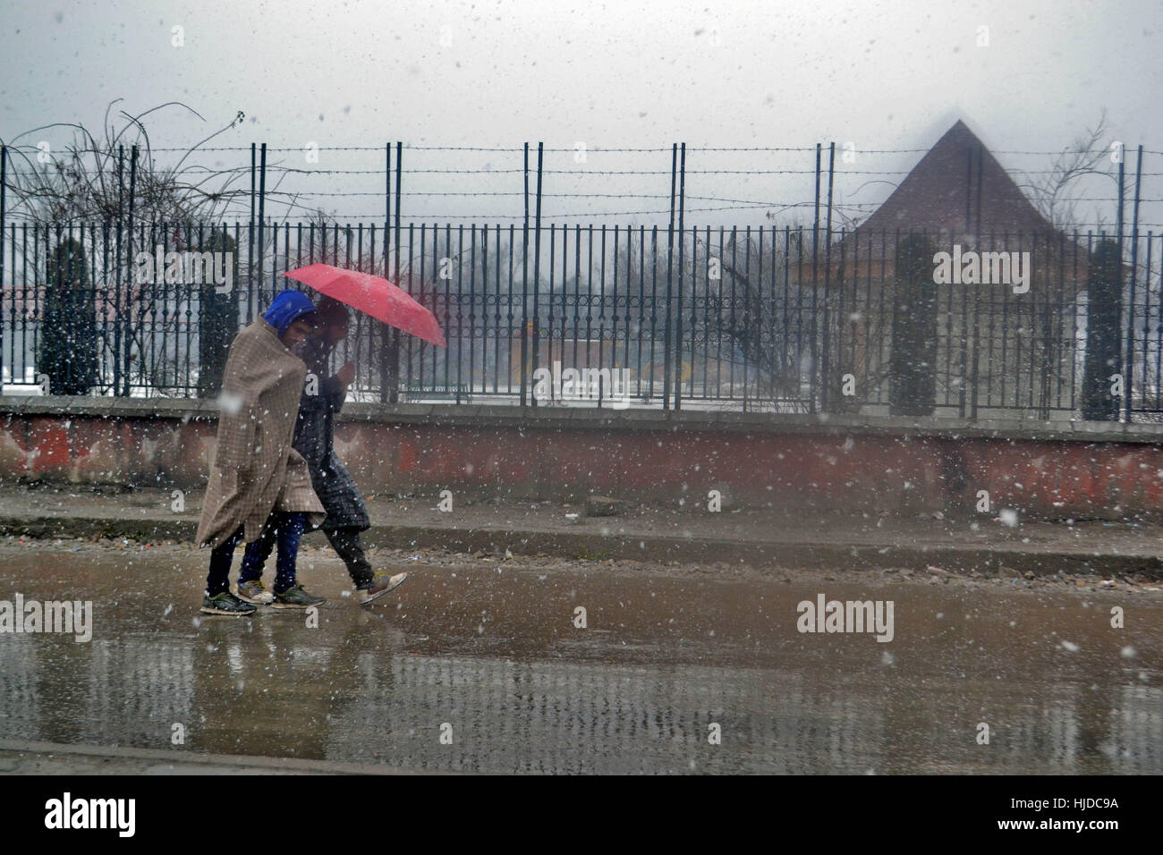 Srinagar, au Cachemire. 24 Jan, 2017. Les piétons à pied des chutes de neige dans la région de Srinagar, Cachemire sous administration indienne. Les chutes de neige fraîche a été enregistrée dans de nombreux domaines, en particulier dans les plus reculés de cachemire, conduisant à la fermeture de Srinagar-Jammu autoroute nationale, alors même que plus de temps humide a été prévu au cours des prochains jours. Credit : Saqib Majeed/Alamy Live News Banque D'Images