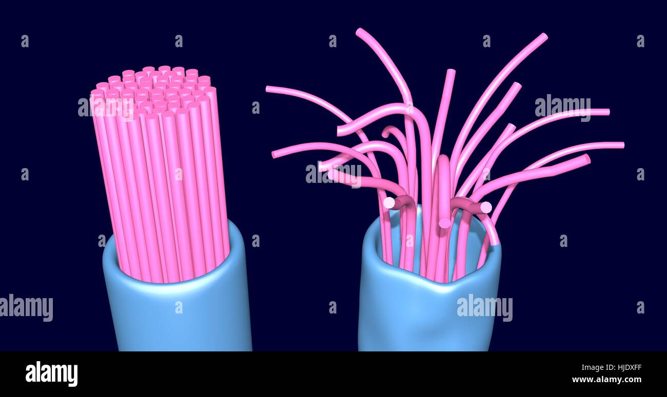 Et endommagé les fibres intactes, câbles, connecteurs, les neurones, les cheveux. 3D render. Banque D'Images