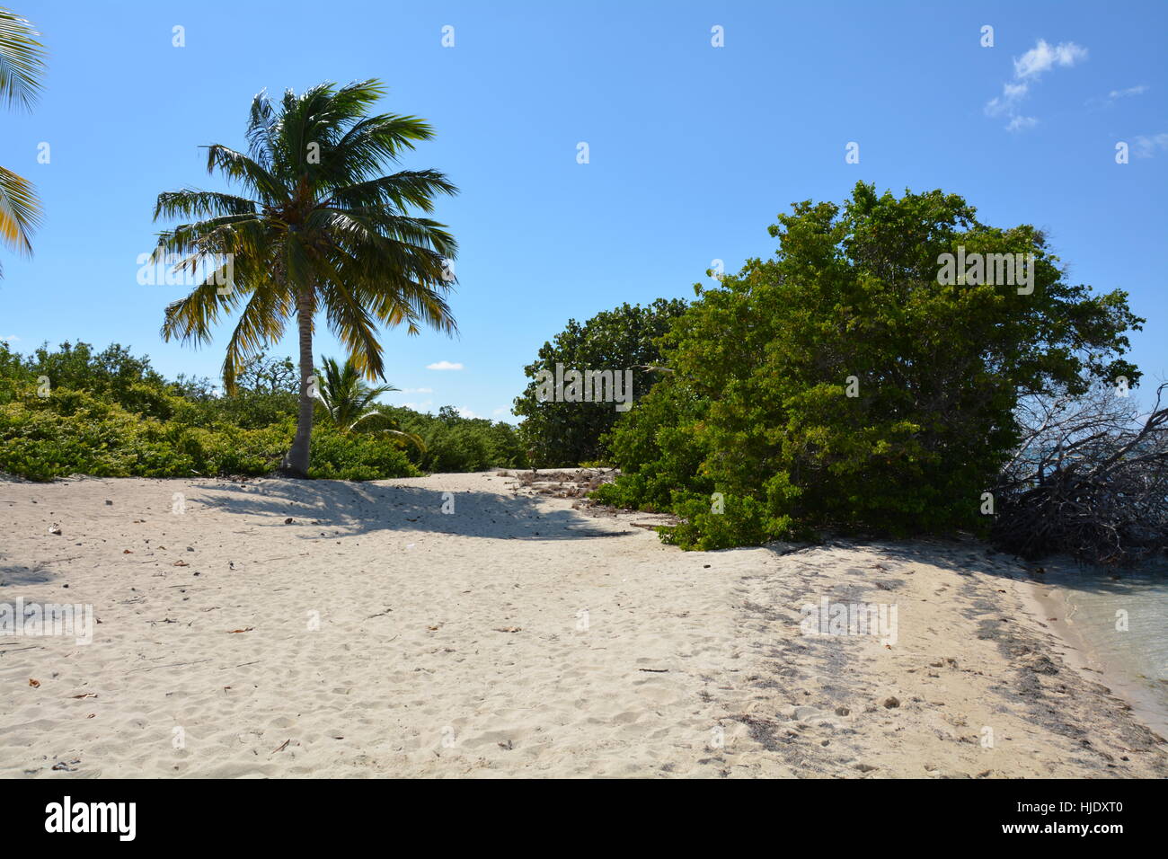 Iguana Island Beach, Cuba Banque D'Images