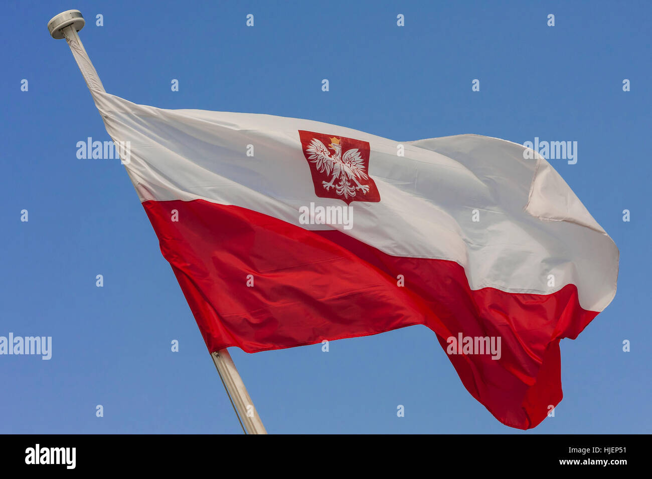 Drapeau polonais dans le vent contre un ciel clair Banque D'Images