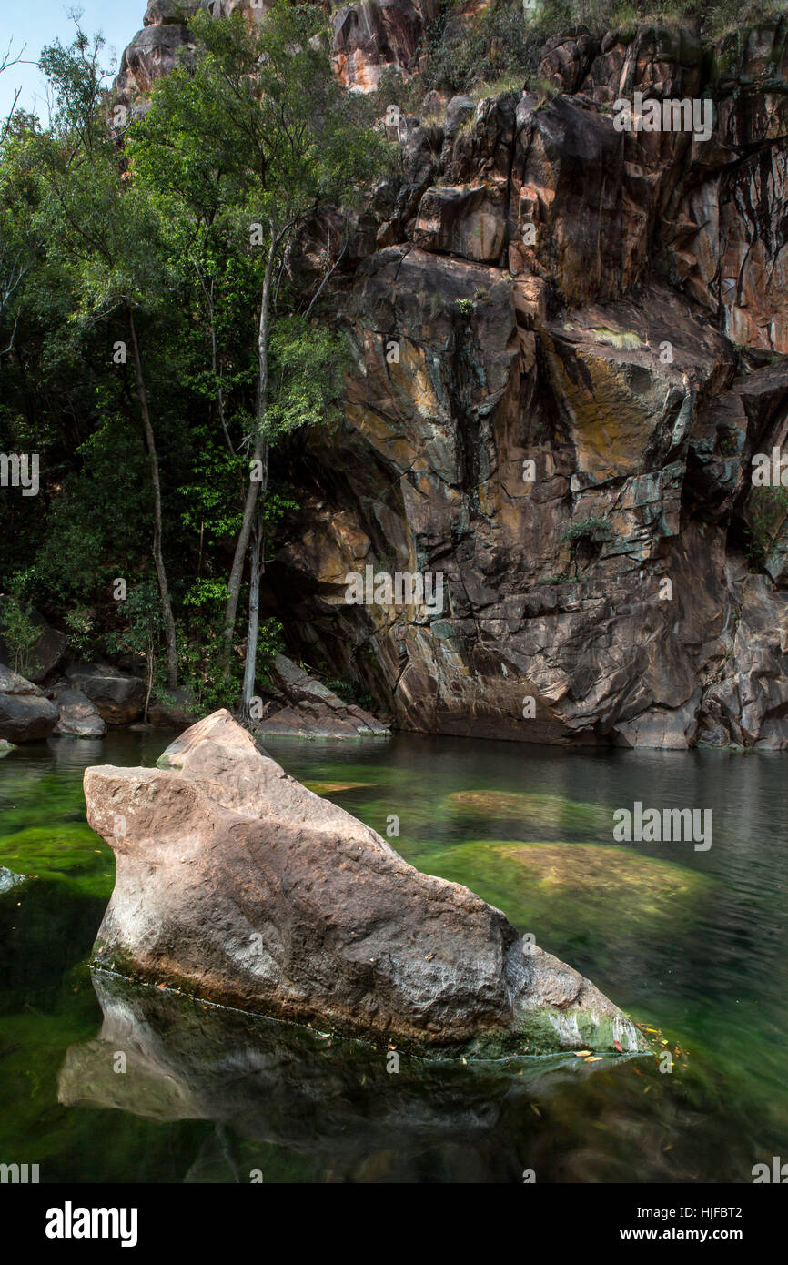 Parc national, du tourisme, de l'Australie, cascade, cacatoès, Nature, tourisme, vagues, Banque D'Images