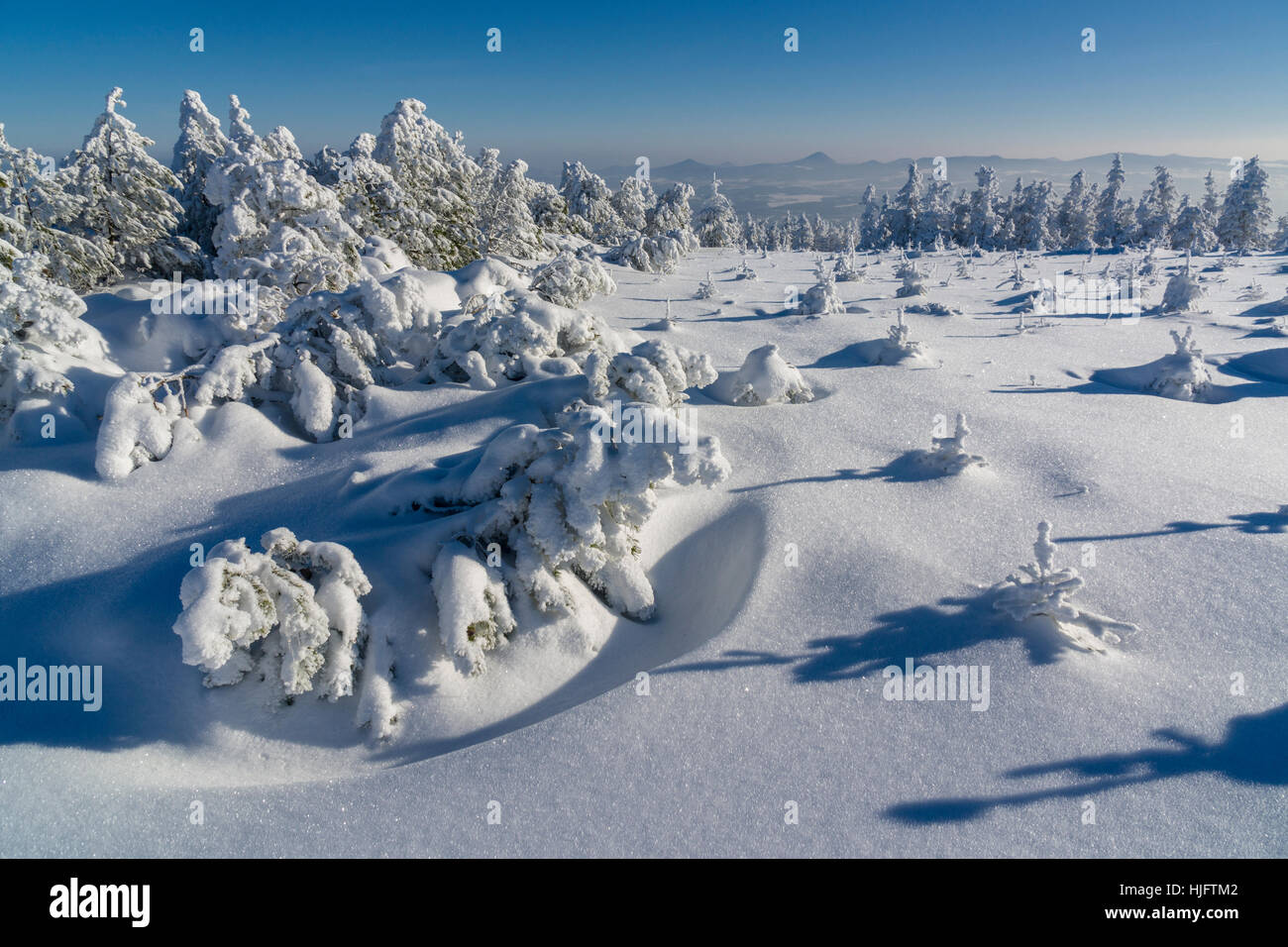 Paysage avec des arbres d'hiver, givre et de la neige en provence Banque D'Images