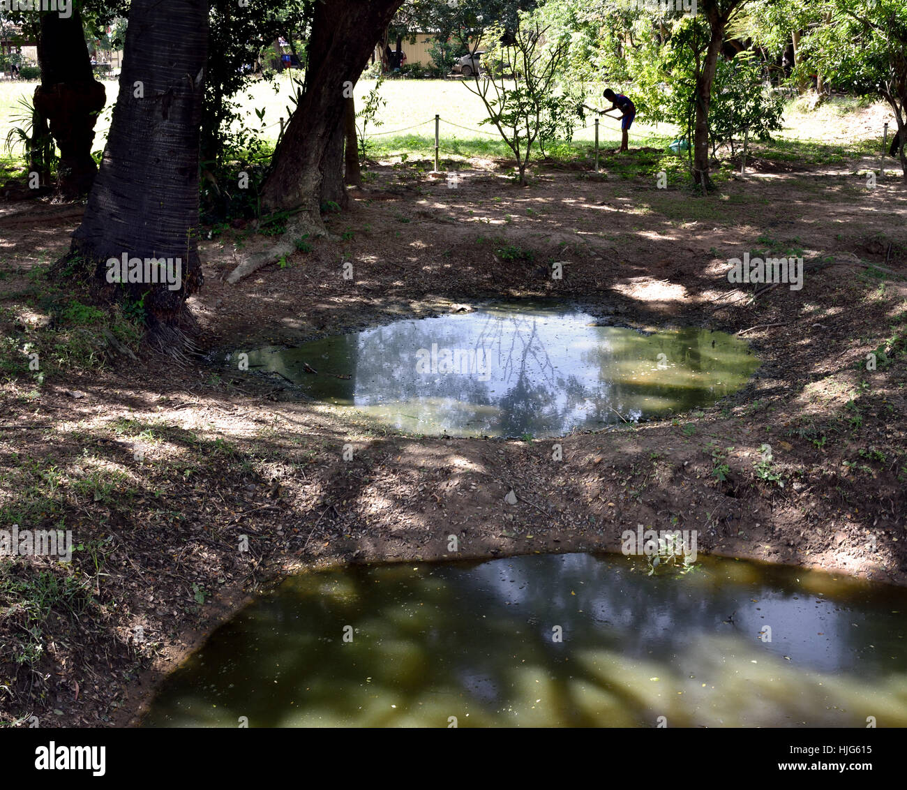 Charnier de l'victums Site Memorial - The Killing Fields - Musée de Choeung Ek Cambodge ( fosse commune des victimes de Pol Pot - Khmers rouges à partir de 1963 - 1997. Phnom Penh Cambodge ) Banque D'Images Charnier de l'victums Site Memorial - The Killing Fields - Musée de Choeung Ek Cambodge ( fosse commune des victimes de Pol Pot - Khmers rouges à partir de 1963 - 1997. Phnom Penh Cambodge ) Banque D'Images