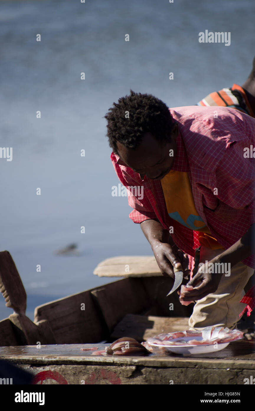 Coupe homme et préparent des poissons dans une embarcation à l'Amora Geddel marché aux poissons d'Awassa, Ethiopie, cigognes marabout en arrière-plan Banque D'Images