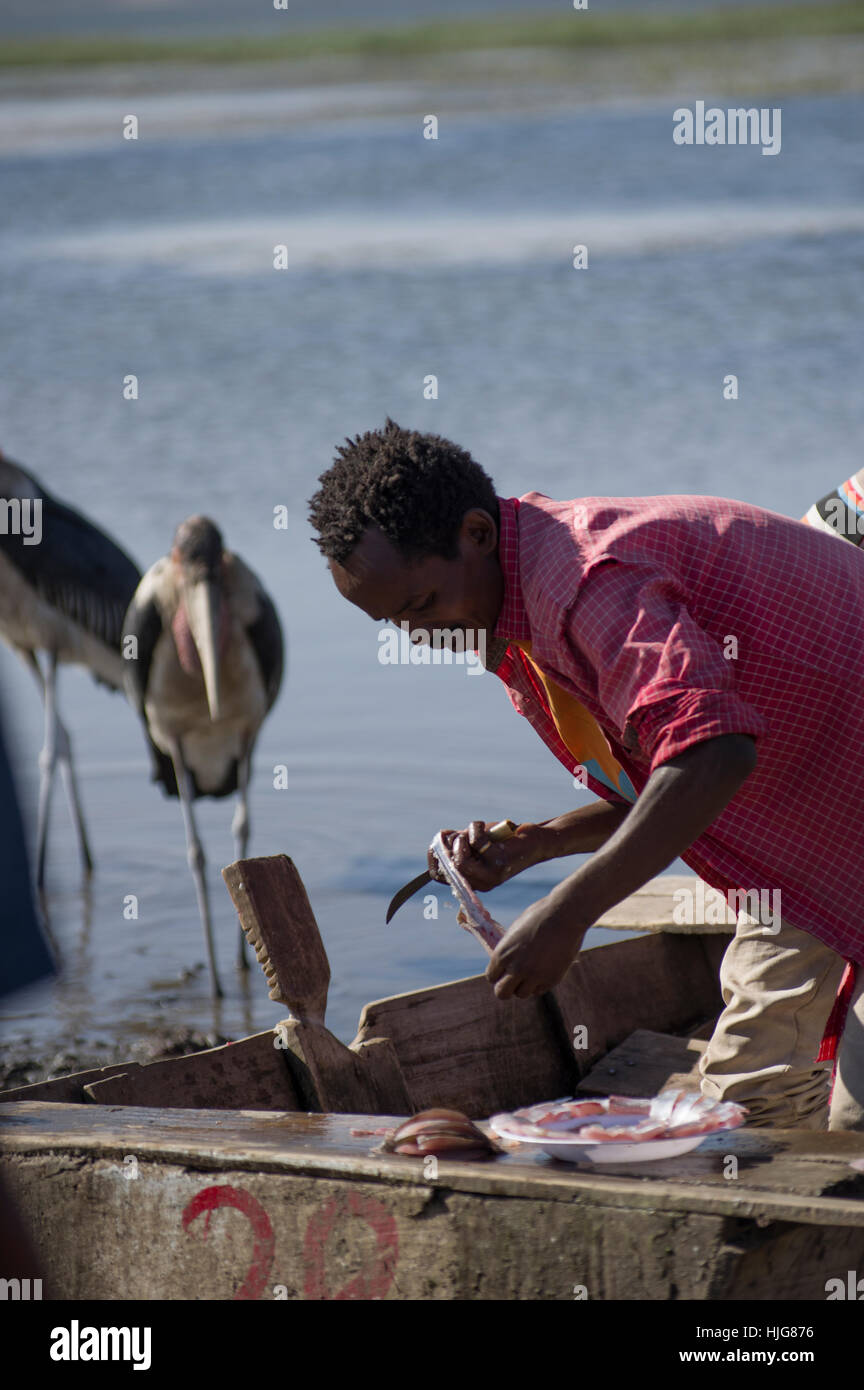 Coupe homme et préparent des poissons dans une embarcation à l'Amora Geddel marché aux poissons d'Awassa, Ethiopie, cigognes marabout en arrière-plan Banque D'Images